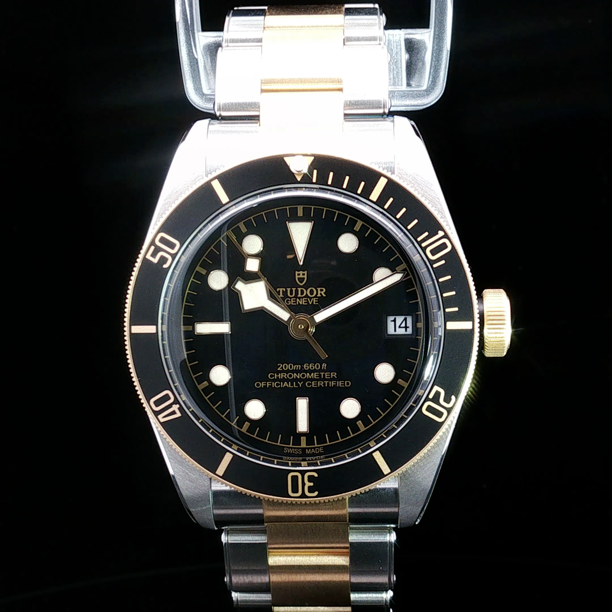 Brand New Tudor Black Bay S&G 79733N