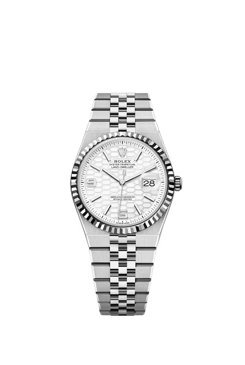 Land-Dweller 36 Oyster, 36 mm, Oystersteel and white gold Reference 127234