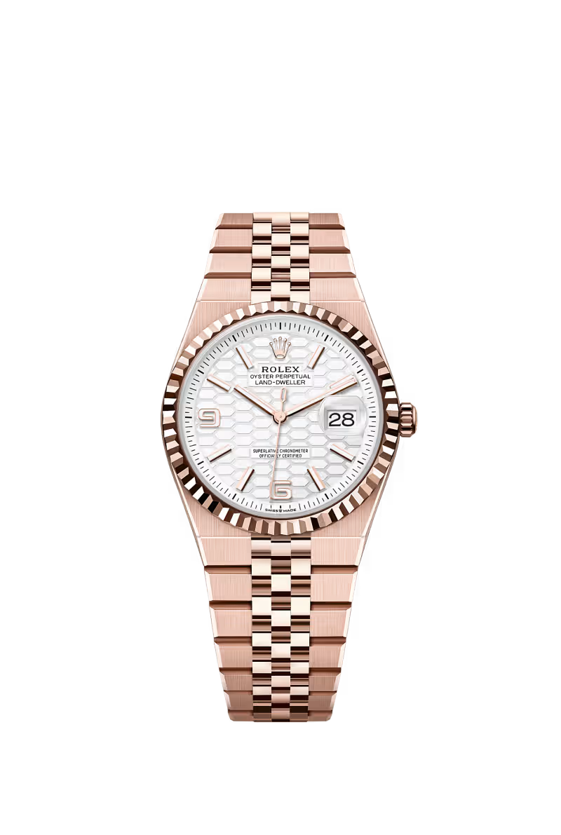 Land-Dweller 36 Oyster, 36 mm, Everose gold Reference 127235
