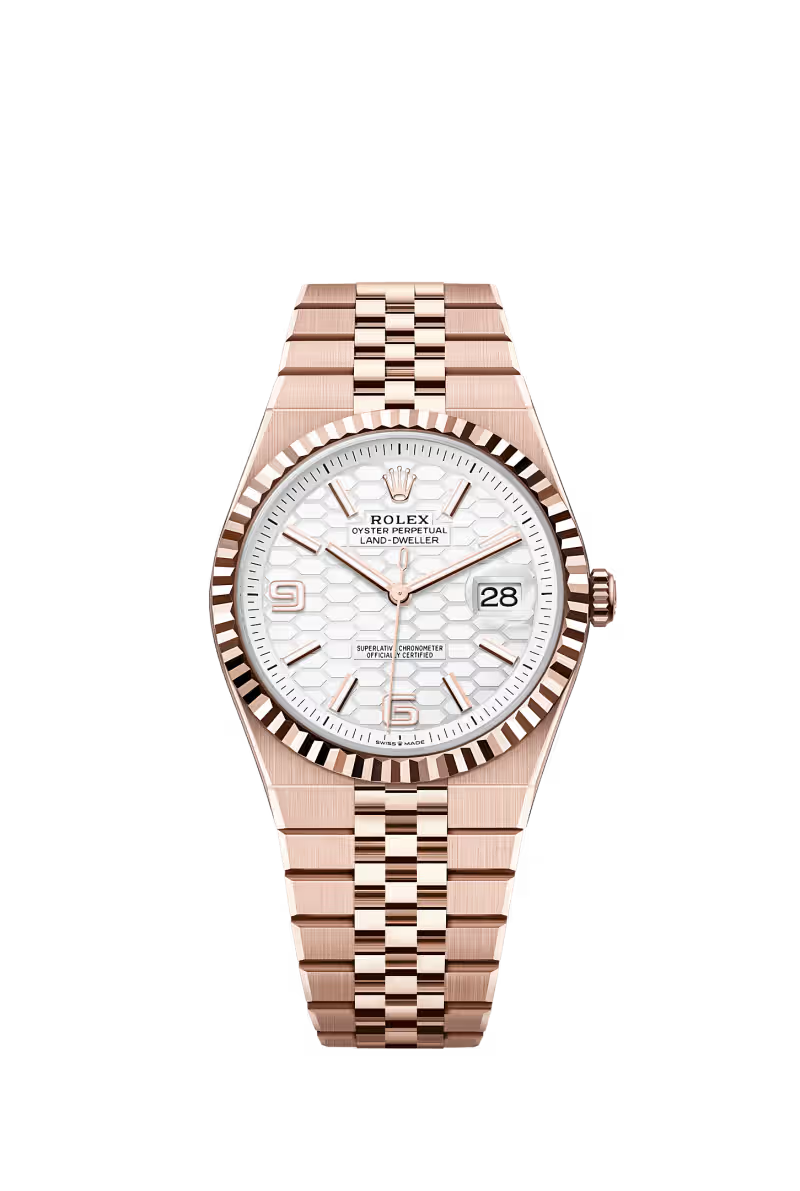 Land-Dweller 40 Oyster, 40 mm, Everose gold Reference 127335